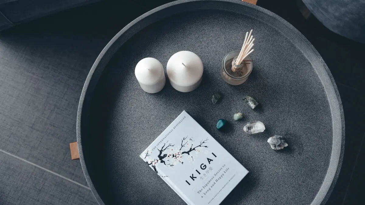 Ikigai - en anledning att vara